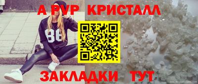 гашик Малгобек