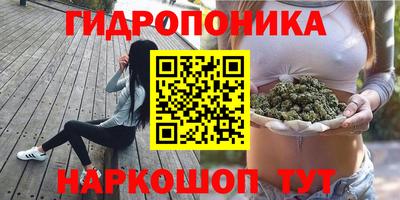 гашик Малгобек