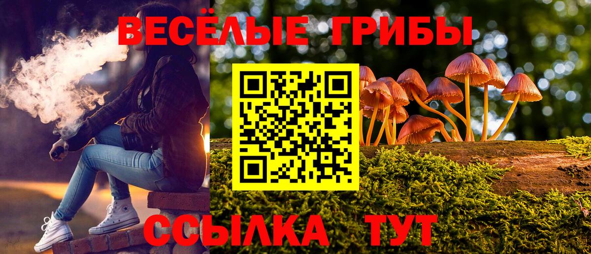 Галлюциногенные грибы Psilocybine cubensis Ялуторовск
